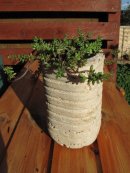 Flat Bottom 1.75 P1 899 Sale (12)