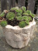 Hypertufa planter, Hypertufa Plant pot, Etsy, PJCreationCraft.
