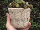 Hypertufa plant pot, planter, Jelly Mould Small.