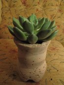 Ripple 605-23,Hypertufa plant pot