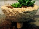 Hypertufa plant pot, planter, large.