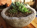 Hypertufa planter, plant pot.