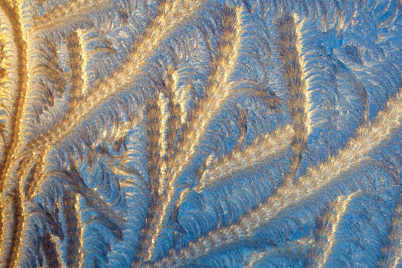 Task 4 - Patterns and Textures in Nature: 2nd Place: Melting Frost