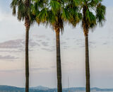 2nd Place: Plage De Cogolin