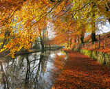 Commended: Huddersfield Canal
