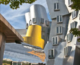 1st Place: Stata Building by Frank Gehry