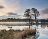 2nd Place: Dawn at Loch Mallachie