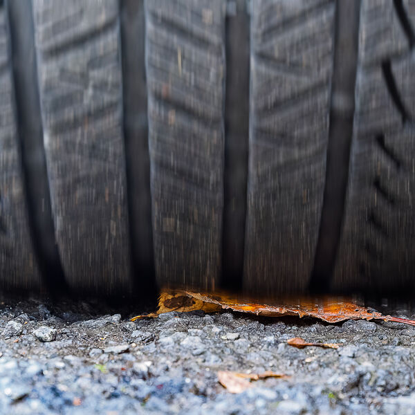 Task 1 - Frog Perspective: Joint 3rd Place: Aaaaargh!