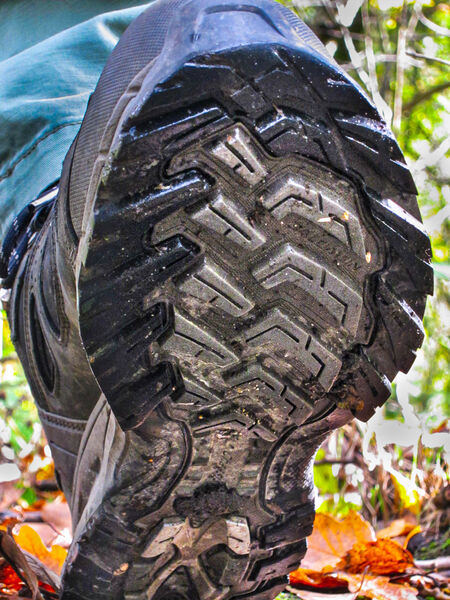 Task 1 - Frog Perspective: Ist Place: Hop It Quick