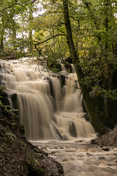 Commended: Falls At Folly Dolly