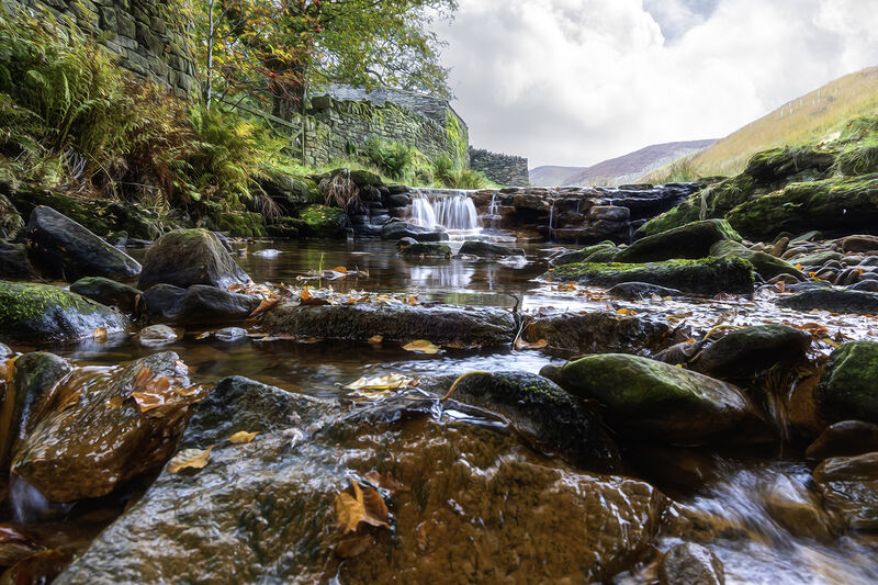 Task 1 - Frog Perspective: Joint 3rd Place: The Way Home