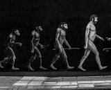 Highly Commended - Evolution of Man Going the Wrong Way?