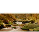 River at Bleaklow Ridge