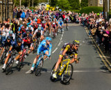 2nd Place - Leader of the Pack