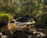 Highly Commended: Royd Edge Stream
