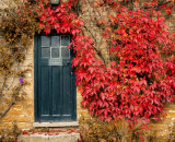Commended: Autumn at Newstead Abbey