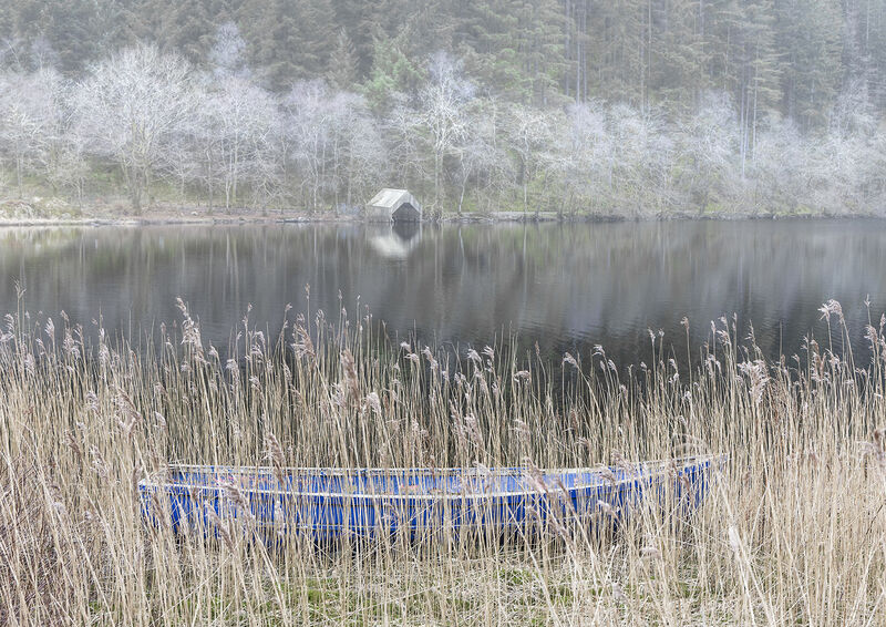 3rd Place: Light Mist Loch Ard