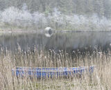 3rd Place: Light Mist Loch Ard