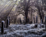 2nd Place: Magdale Frost