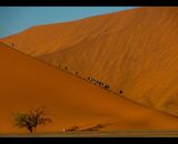 3rd Place: Dune Walkers