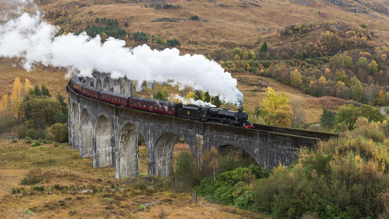 Commended: Steaming Through Autumn