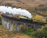 Commended: Steaming Through Autumn