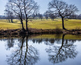 2024-25 Restricted Entry