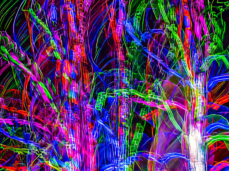 Certificate: Arboreal Christmas Lights
