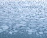 Lillypad Ice Formations