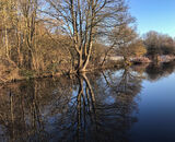 Commended: Aire and Calder Canal