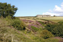 Digley Quarry by Anne Field
