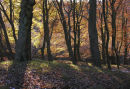 Digley Woodby Les Heywood