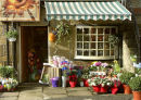 Flower Shop Honleyby Geoff France