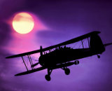 Highly Commended - Swordfish