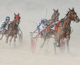 Accepted: Creating A Dust-Up