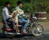 Accepted: To Market India Style