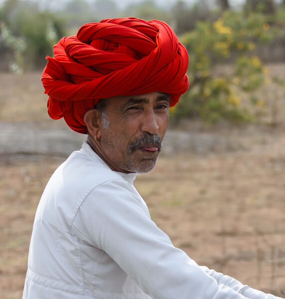 Commended: Cheeky Chappie