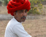 Commended: Cheeky Chappie