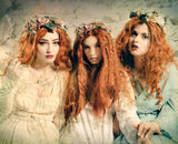 Highly Commended: Three Maidens