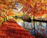 Commended: Huddersfield Canal Uppermill