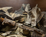 1st Place - From the Somme