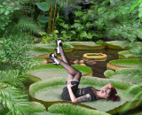 2nd Place - Tropicana Afternoon