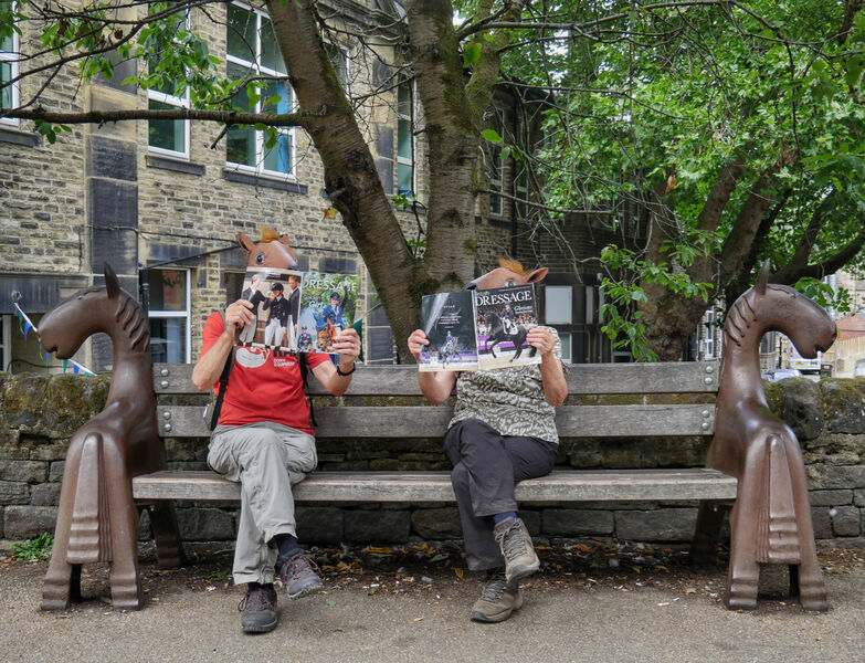 Highly Commended: Horseplay
