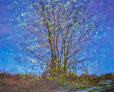 3rd Place - Leafy reflection