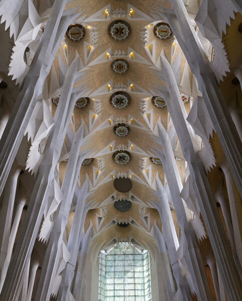 Commended: Ceiling Sagrada Familia