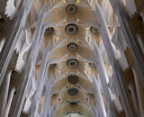 Commended: Ceiling Sagrada Familia