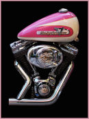 Pretty In Pink (Joint 3rd Place) Steve Dobrowski