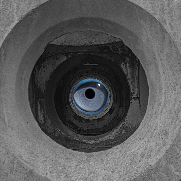 2nd Place: Gannets Eye View