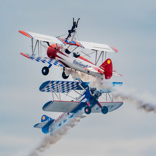 Highly Commended: Room On Top Wing Walkers