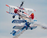 Highly Commended: Room On Top Wing Walkers